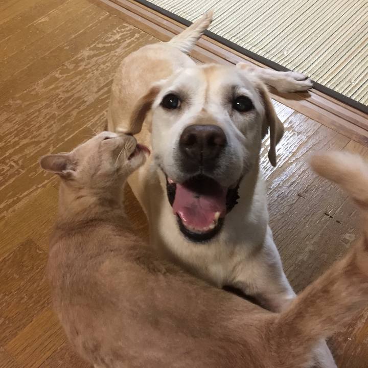 6e85c649 6e13 46e7 891b d25d655e83e3