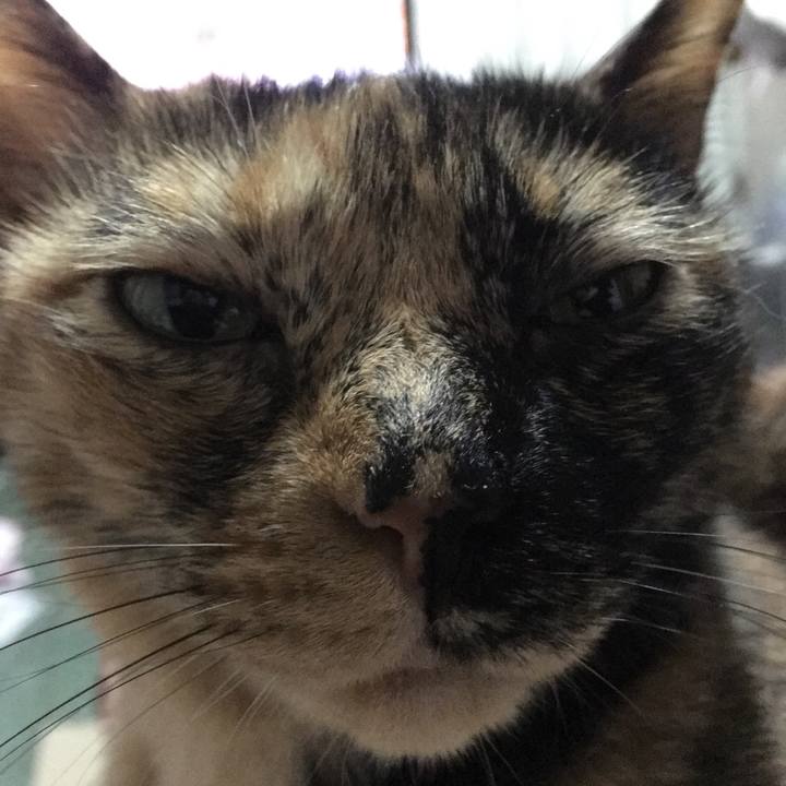 6e85cf86 3937 486d b26e fe57f16db7d0