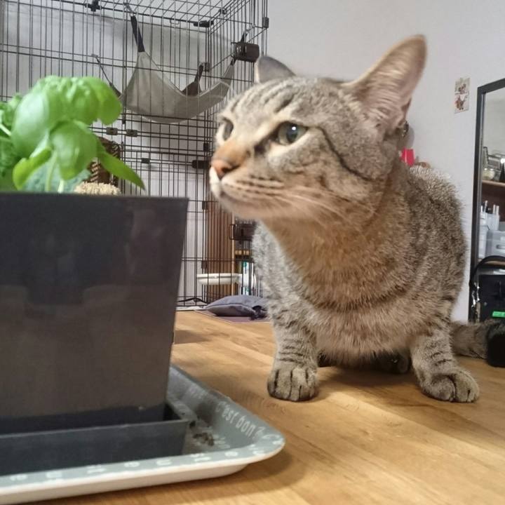 6e862d46 25d3 4e62 8720 e06793257aa5