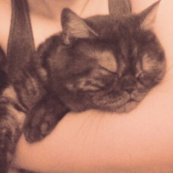 6e86500c f94e 4f1b 83da 2dc9214c7ed2