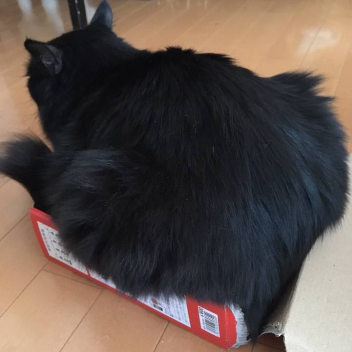 6e86a53f e1f7 4848 8043 eb34647ab11c