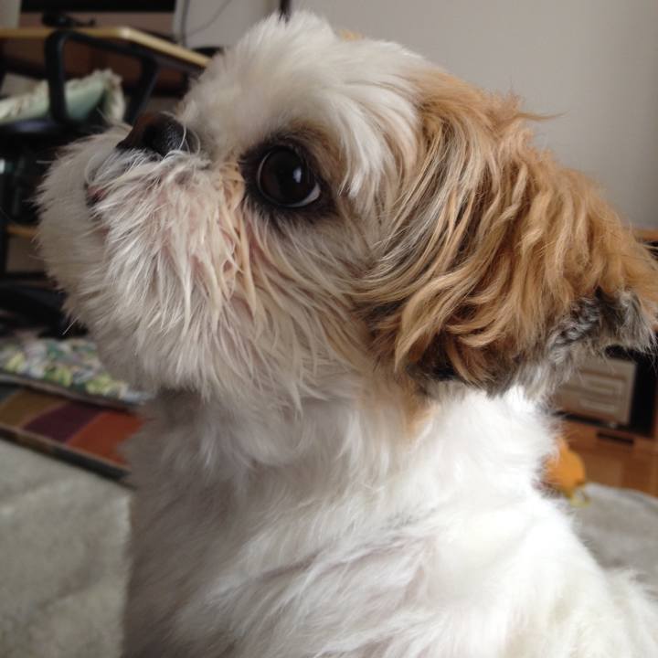 6e86dc62 f7f9 4de9 a17f 9239dbb9c6d2