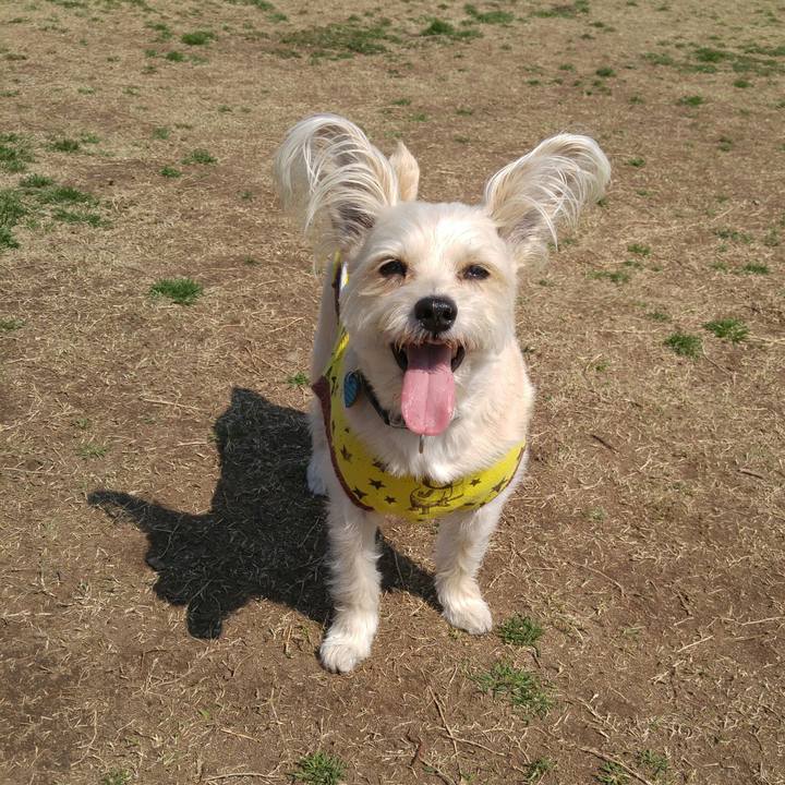 6e86e959 27fd 4398 8997 546aba326c6b