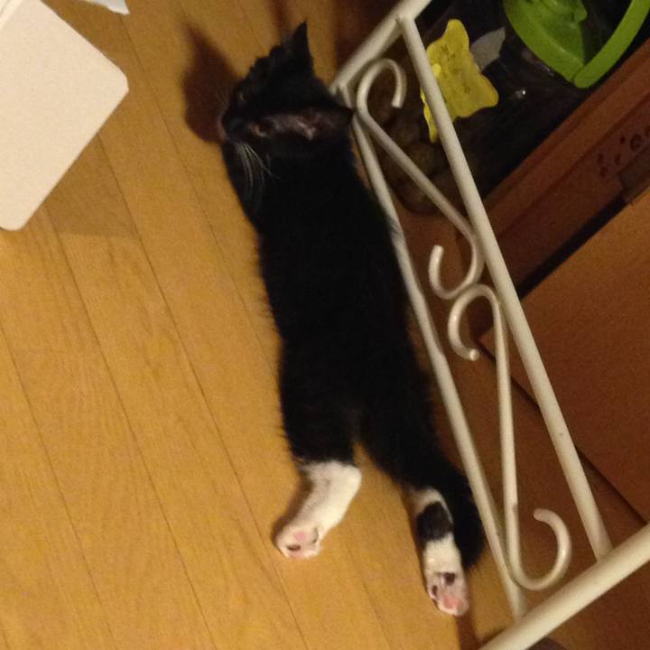 6e86efc5 52e2 42bf 92cf efa0eb872447