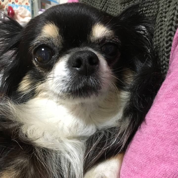 6e873f32 f8e1 42c4 8258 3ad7e8b62f6a