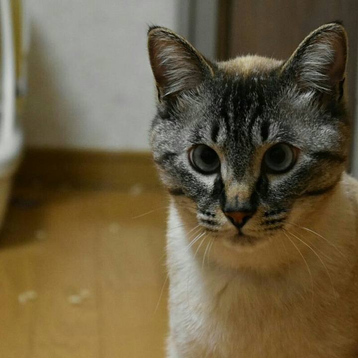 6e879029 3425 4d6d 8511 512a03774b31