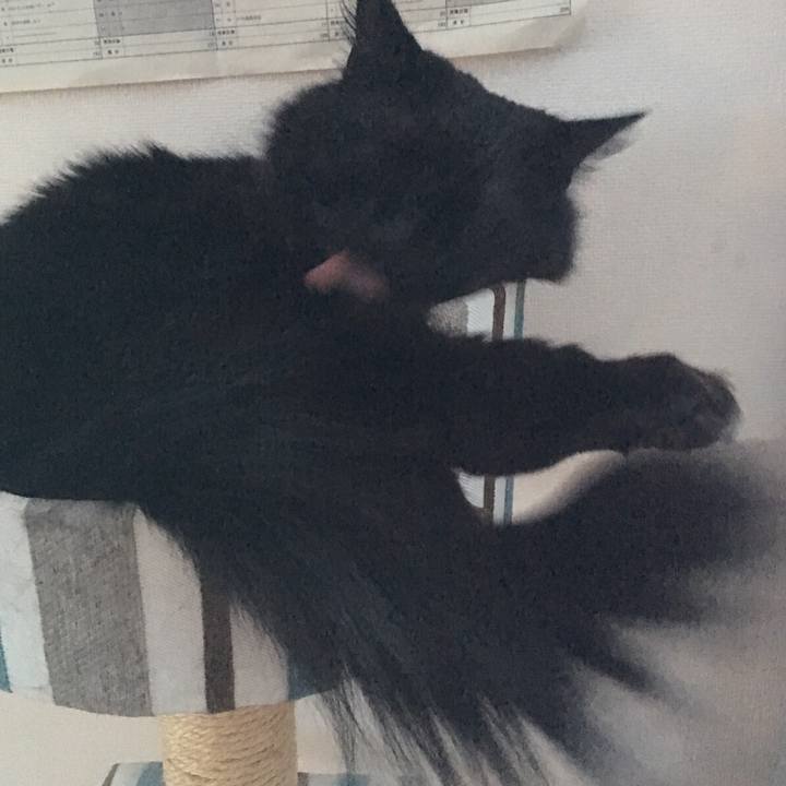 6e887f79 89ab 454a a035 977804a66efa