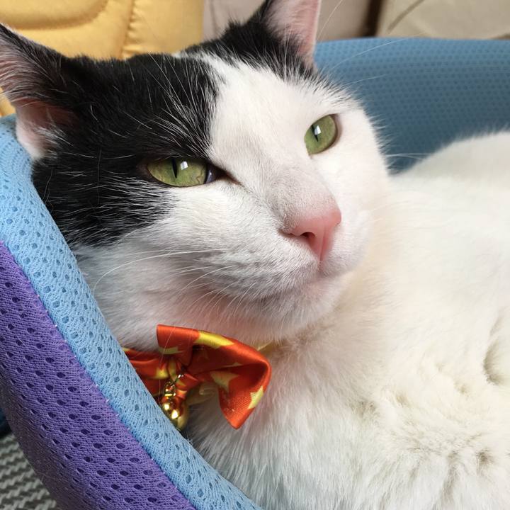 6e89c77f 908b 4f74 9a74 36afec729e4e