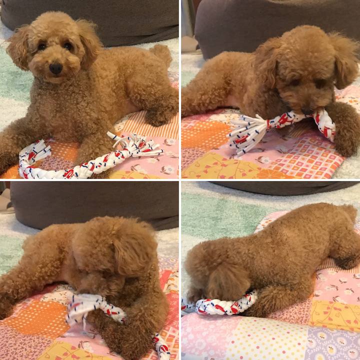 6e89f554 52ff 47b2 92af 0eac8f8fac2b