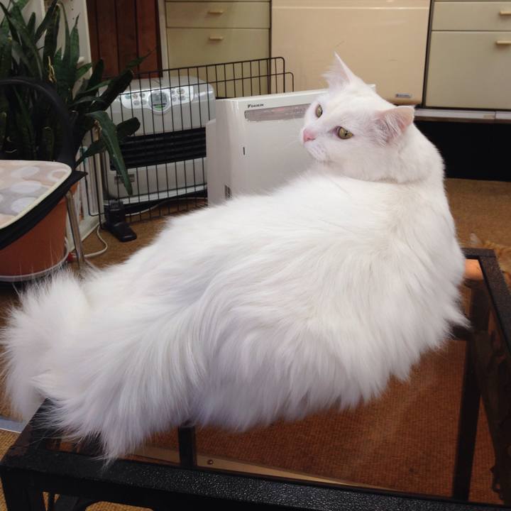 6e8b41bc b61f 4eda 9778 98f86135e101