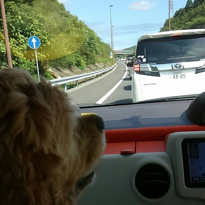 6e8b5d49 e7e0 4471 a65e 2e031520d2ef