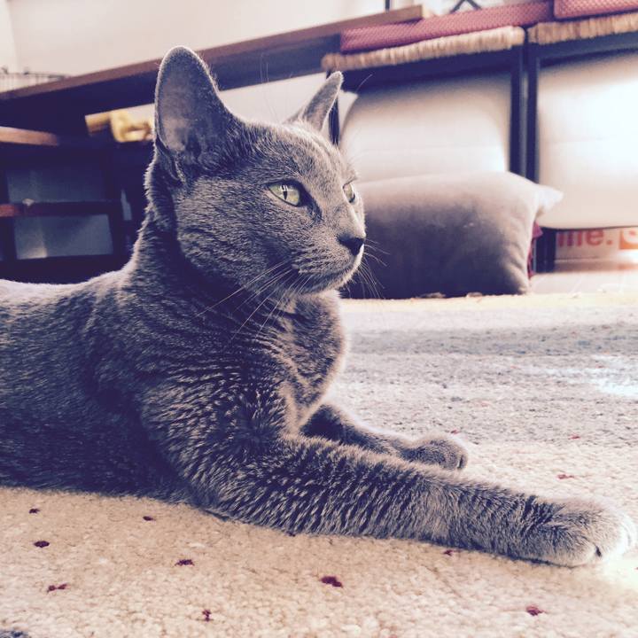 6e8b6fd3 e681 456d a66f e2b747724d05