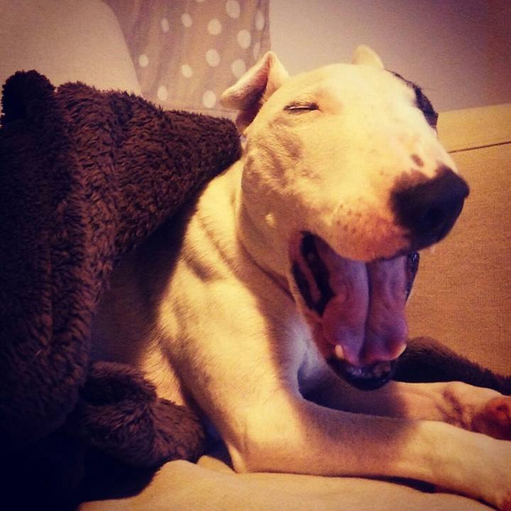 6e8bebde ef8b 4efd 8c53 a557ac46e626