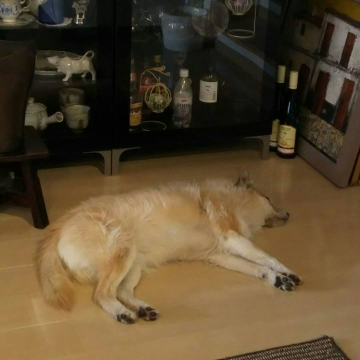 6e8c7b6f 8bdd 44ec 9441 568e5c8c0a7e