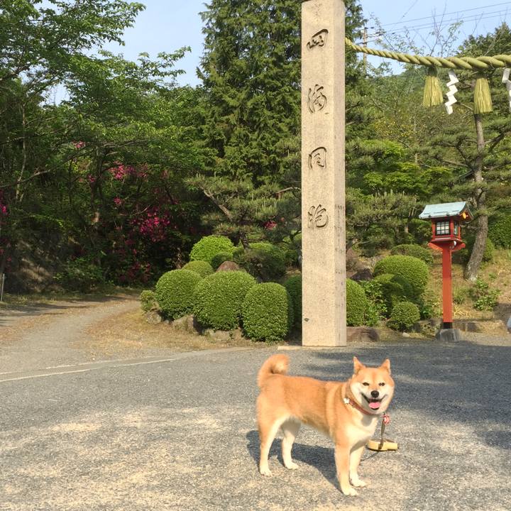 6e8ca410 5176 4513 9ffd 5cb72d237339