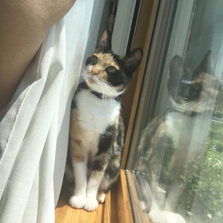 6e8e06ec 2973 458e 9281 e2c0a7243fb5