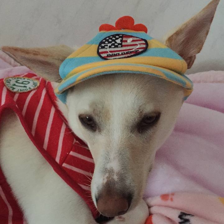 6e8e4349 e505 4600 81ef 2d48ec20ac7e