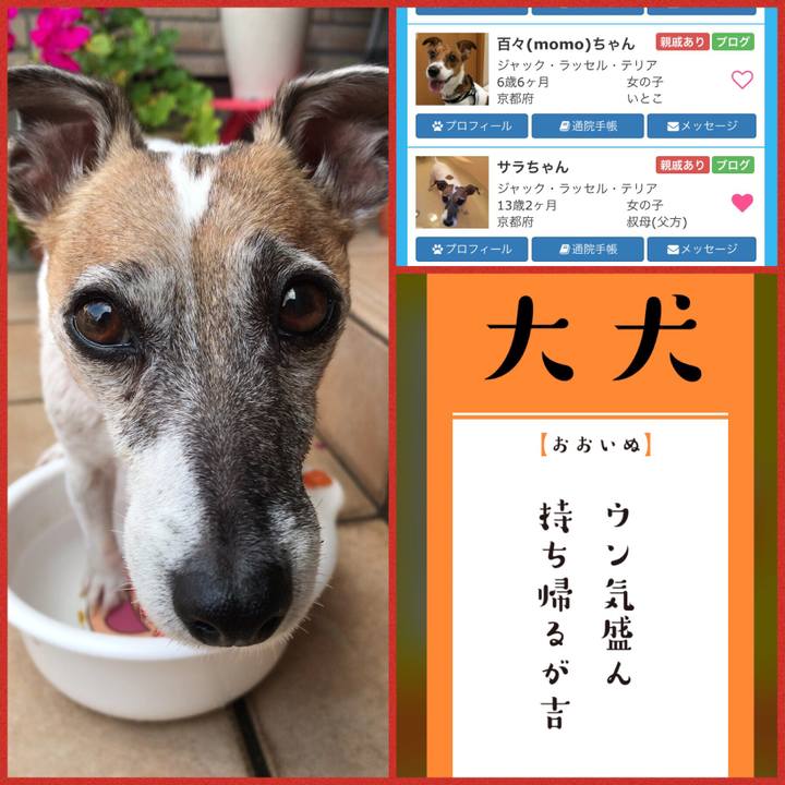 6e8ee122 9f95 4c95 afaa 34b447b69c02