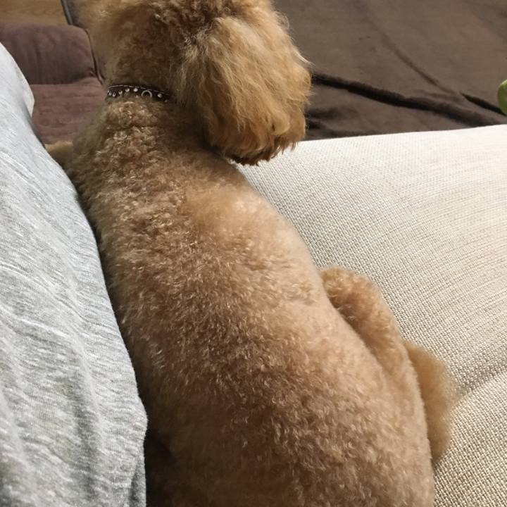 6e8efc90 561d 4bf6 8901 83b4a60232d1