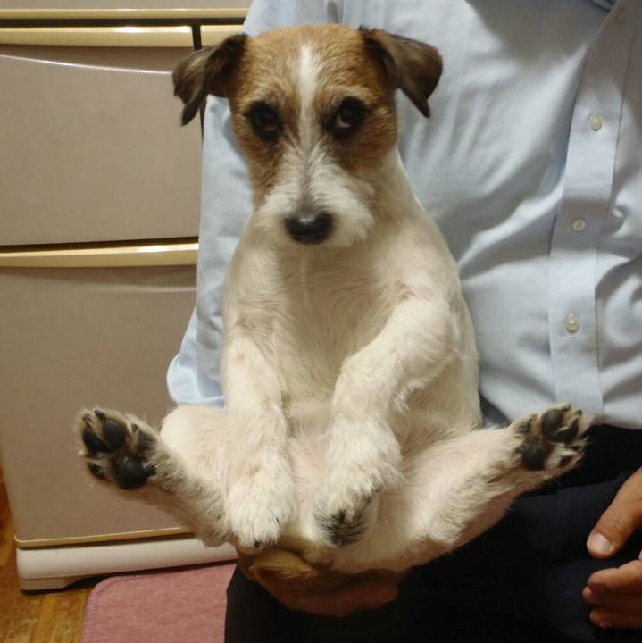 6e8f23b3 6002 42fb 9184 e5c3dfa464b6