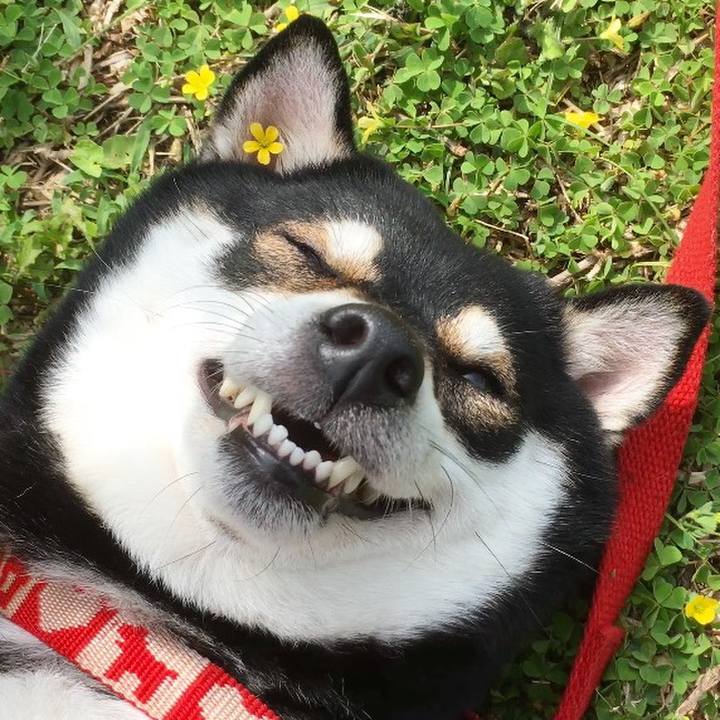 6e8f75fc 3443 44a9 8975 dc5e124815ac