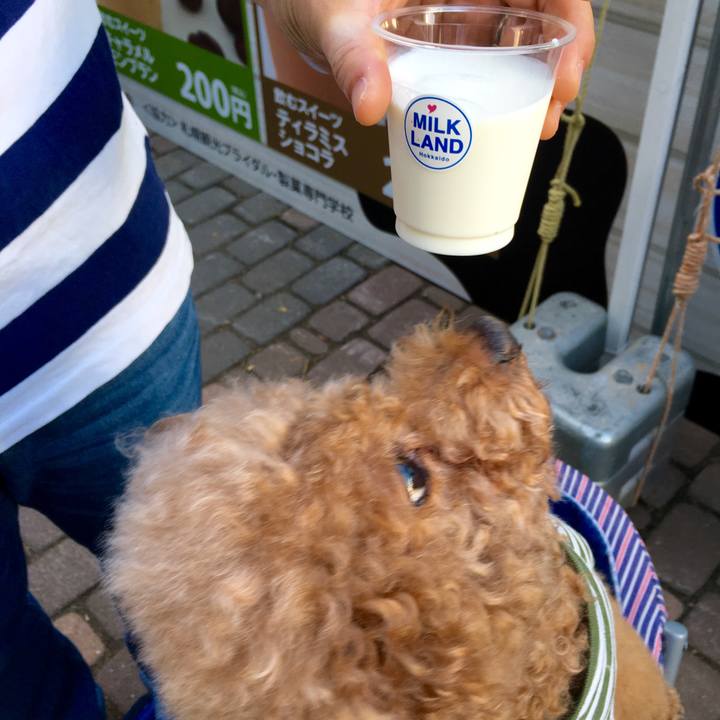 6e8f787c b85b 41cb 9ee2 04616c014933