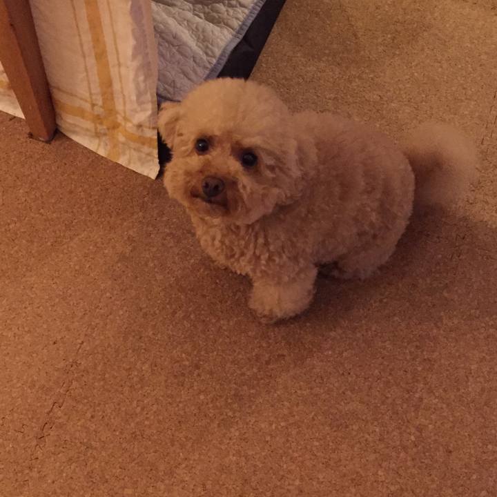 6e8f99b9 d9c0 489b a379 b8547285fef7