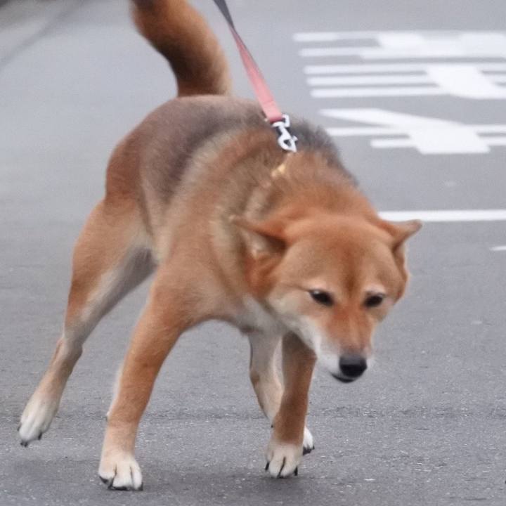 6e90039c f17c 4dd7 a5a7 d41b094a5f51