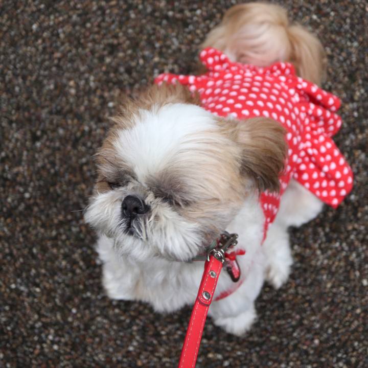 6e907761 29ce 4a14 b62c 7b8f8d01403e