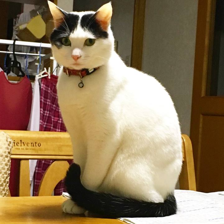 6e90faef 44b2 460d 968e 8dd30d7216e3