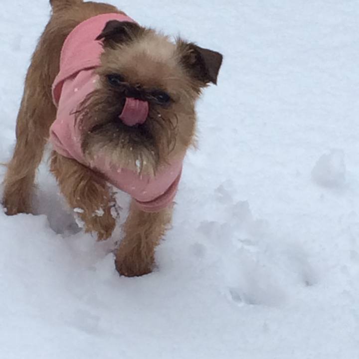 6e911b67 5400 4065 adf7 e1e21989388a