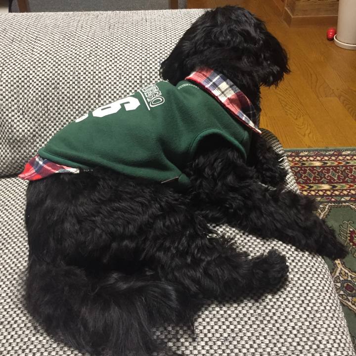 6e91385e c736 414d 8af3 17830c79760e