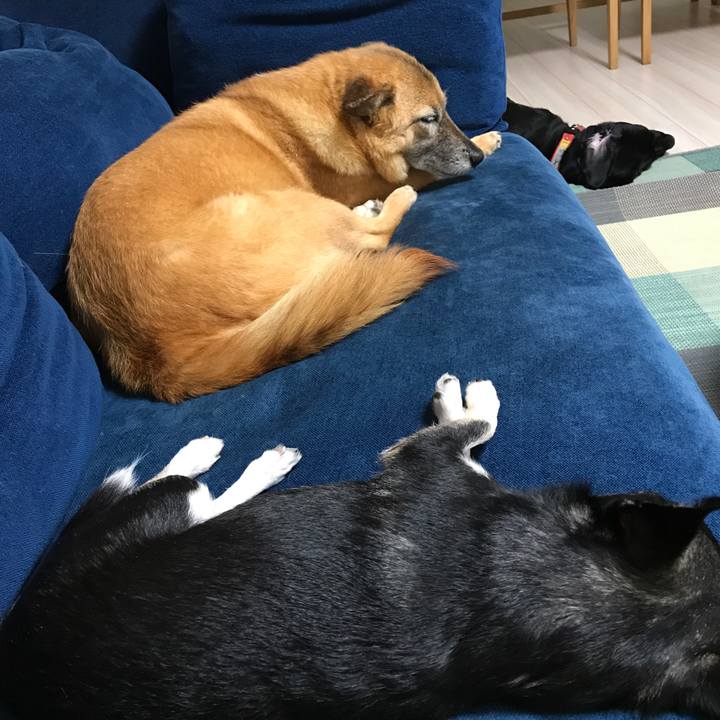 6e915204 7fa6 4b11 bb9e 9dad788884a6