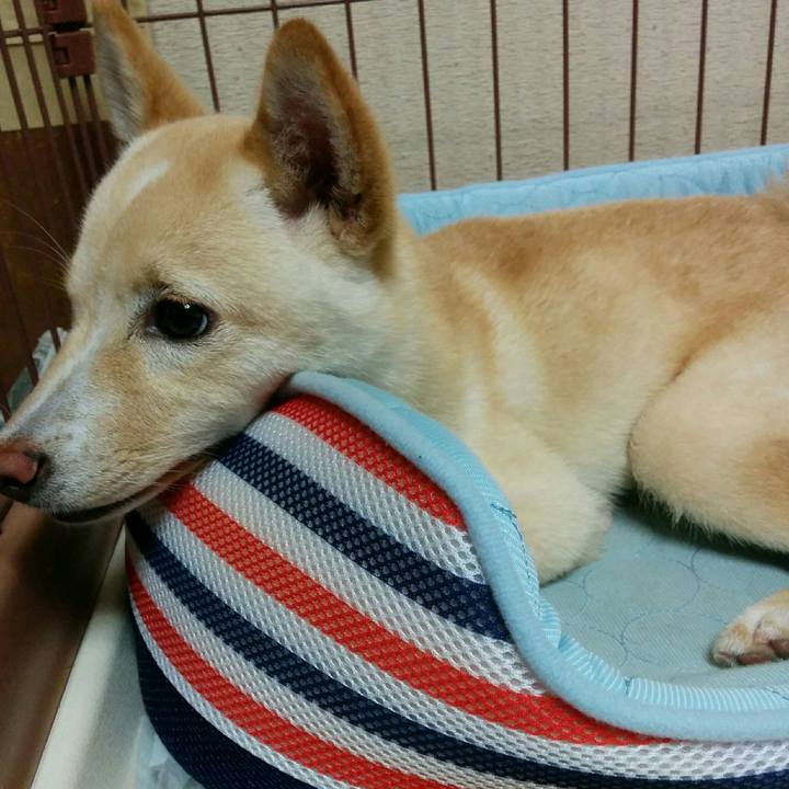 6e917e15 b60f 40f1 99b5 d7534108646d