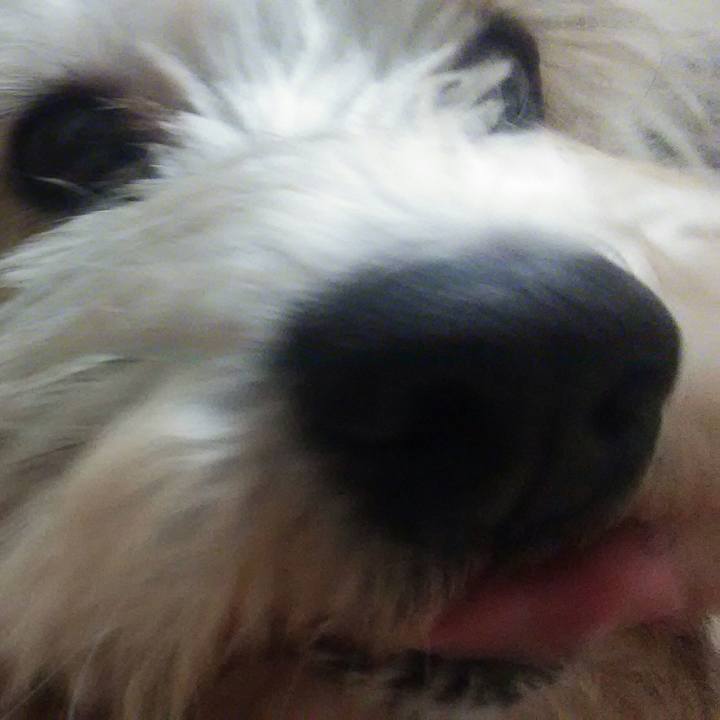 6e921d02 f420 4ca5 9d7d 72c23f4830a2