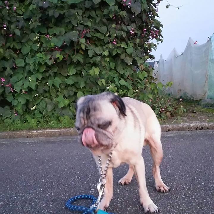 6e92f6e2 216f 4606 b2bf 01796af1cd48