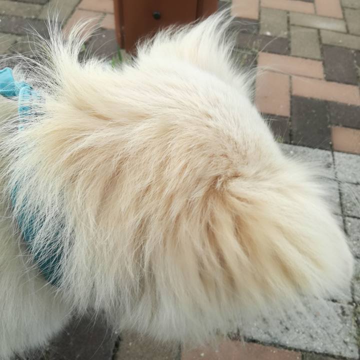 6e933399 fd78 466c b62c 275f827e0ee8