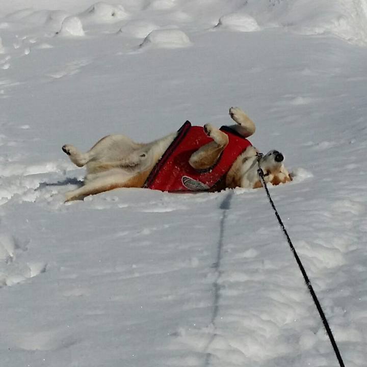 6e938405 5fcb 4383 b7e9 7fa9d8500b21