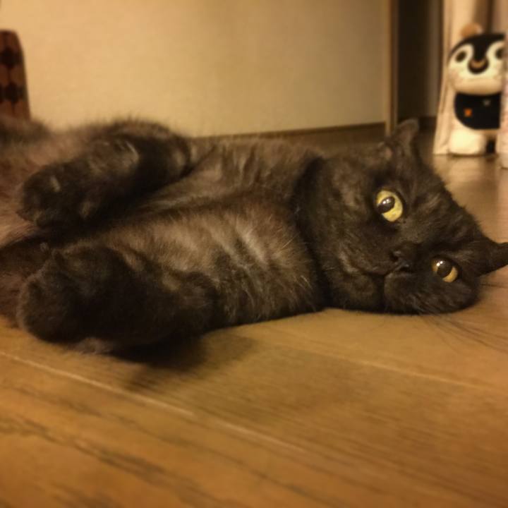 6e93fa78 b9d8 4611 bfde 7d14000d35d5