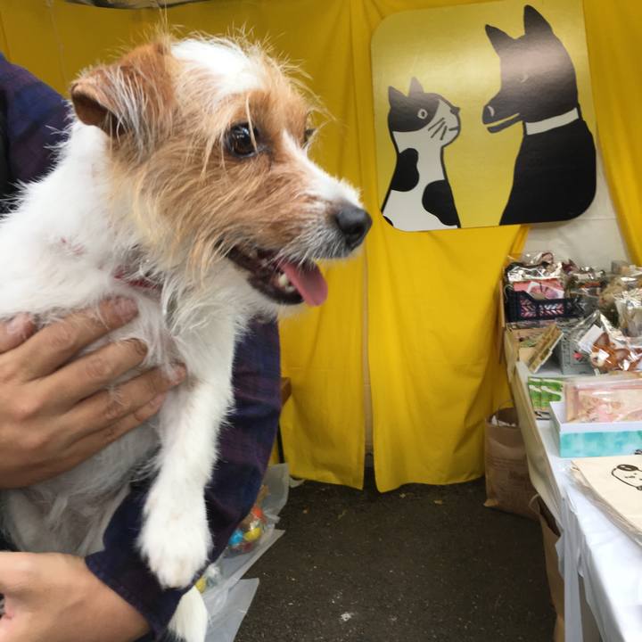 6e9432c2 33e4 4291 8c81 b3f291ace165