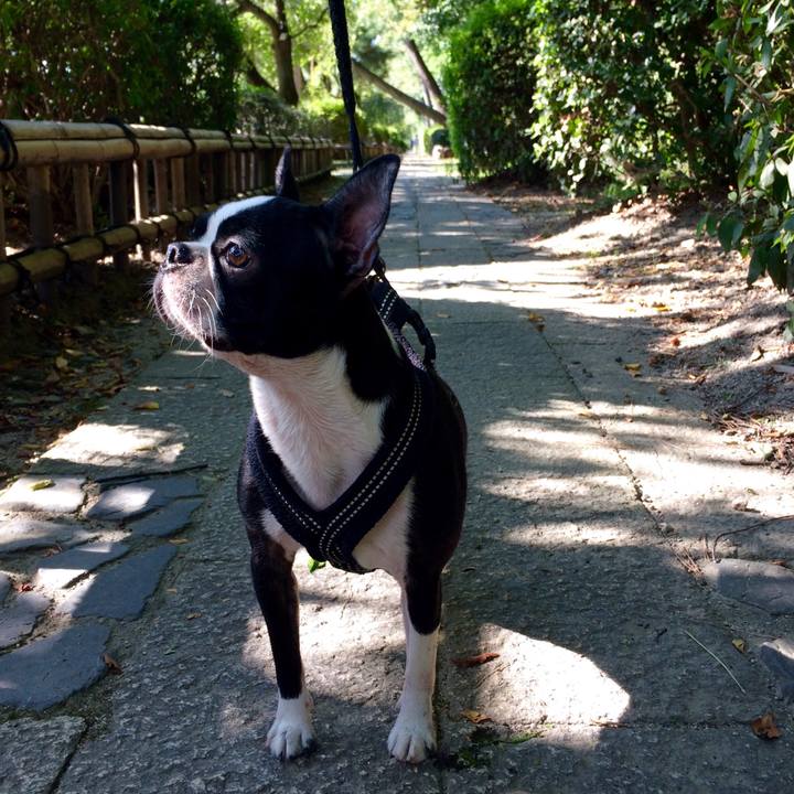 6e949957 5e15 4db1 95b9 f22add15124d