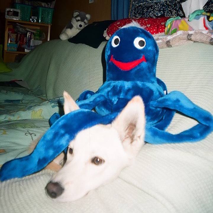 6e951da6 52d9 4604 8f0d a2003d8e8ba7