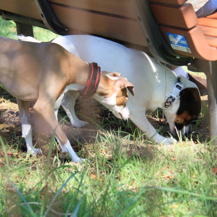 6e95c782 022f 49d7 924c 790e9ffccf2b