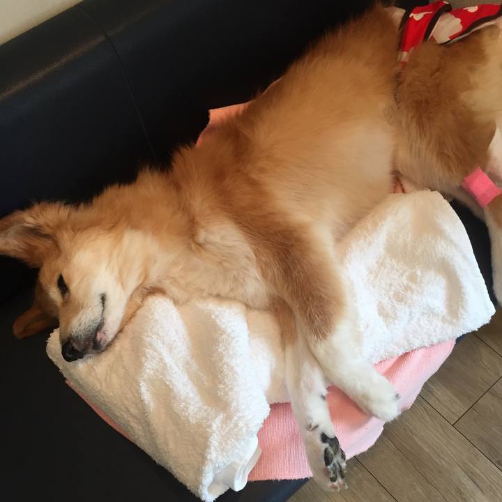 6e978bcc f893 415c 8eda 59ef05333213