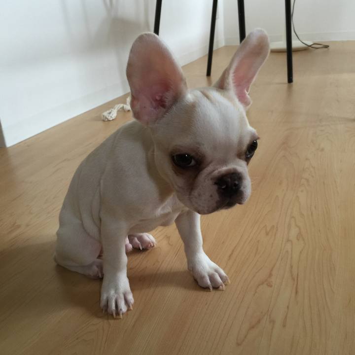 6e97a091 3bc6 46af 8de8 d9e0fb774f40