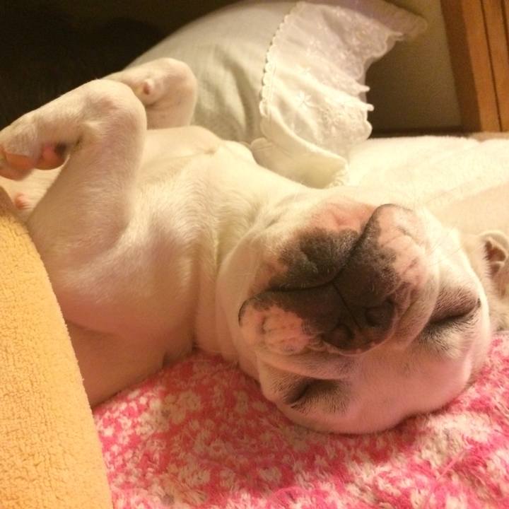 6e97ac49 7153 4e97 9a68 96ae2e23665f