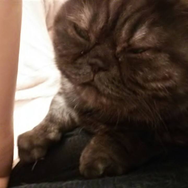 6e9828f4 bc1d 41b6 9253 e83ded5b4aa6