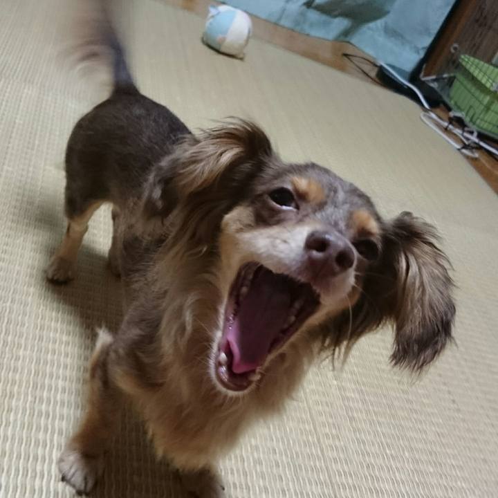 6e9843b9 ba25 4344 a173 8418ca9ee39e