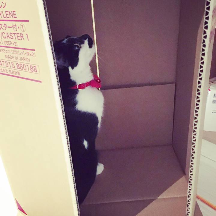 6e987f1d 4efe 4675 a724 bedf750092ea