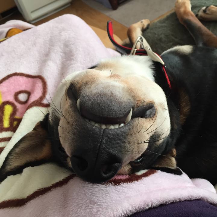 6e98829f 3089 49a7 afa1 2c79432521ba